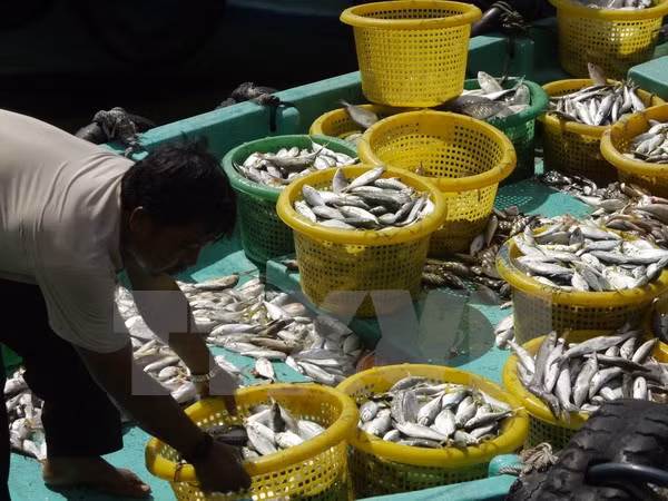 Grupo tailandés de productos acuáticos planea fundar compañía mixta en Vietnam ảnh 1