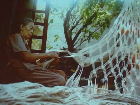 Hoi An diseña marca turística con productos derivados de planta local ảnh 5