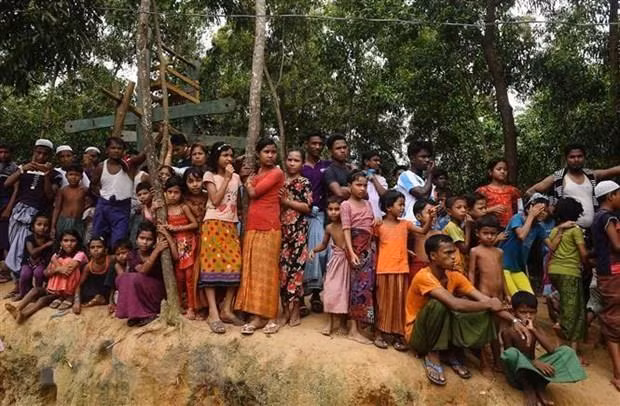  ONU reanuda plan para repatriar a los rohingya a Myanmar ảnh 1