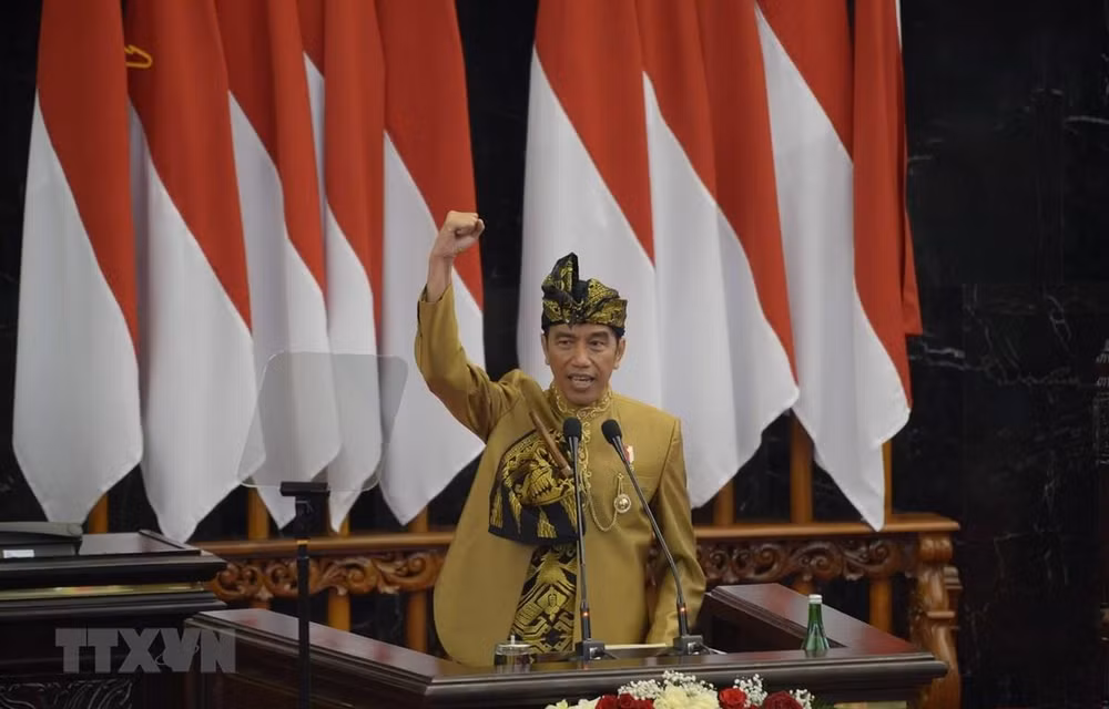 Indonesia anuncia ubicación de nueva capital ảnh 1