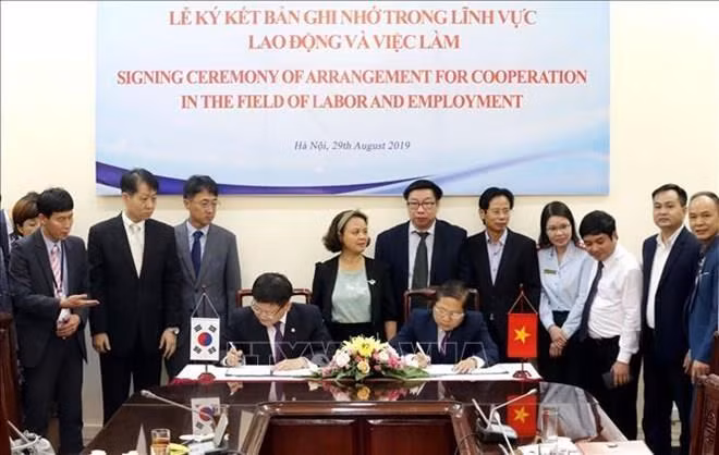 Fomentan Vietnam y Corea del Sur cooperación laboral integral ảnh 1