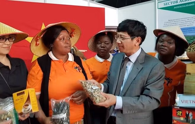 Productos vietnamitas caparan atención del público durante feria comercial en Mozambique ảnh 1