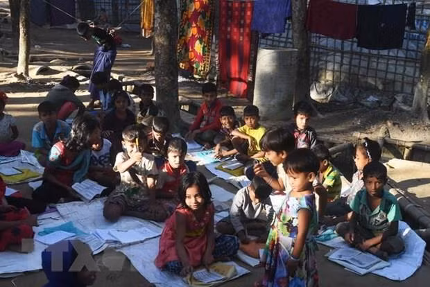 Impulsan en Bangladesh repatriación de refugiados rohinyás ảnh 1