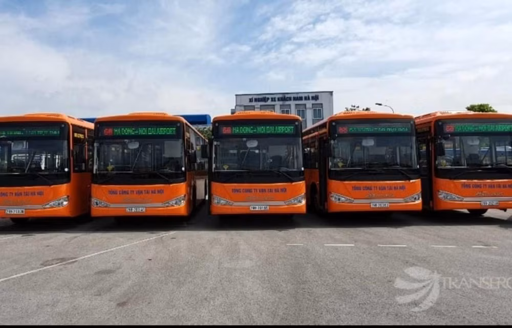 Hanoi ofrecerá servicios gratuitos de ómnibus para ancianos y niños ảnh 1