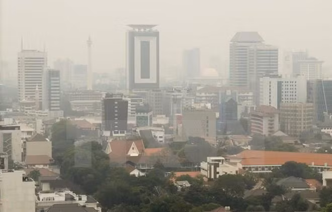 Anuncia Indonesia regulaciones a automóviles privados para reducir contaminación atmosférica ảnh 1