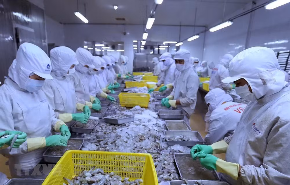 Vietnam ingresa fondo multimillonario por exportaciones de productos agrosilvícolas y acuícolas ảnh 1