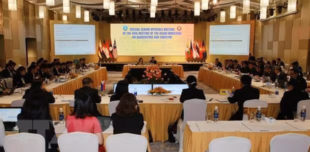 Países de ASEAN intensifican cooperación en sector agroforestal ảnh 1