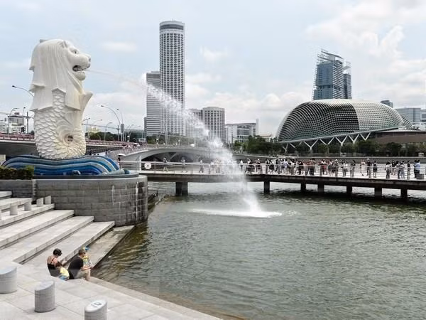 Aumenta ingreso promedio en Singapur ảnh 1 Aumenta ingreso promedio en Singapur ảnh 1