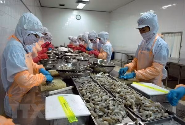 Recibe Vietnam inversiones multimillonarias para desarrollo del Delta del Mekong ảnh 1