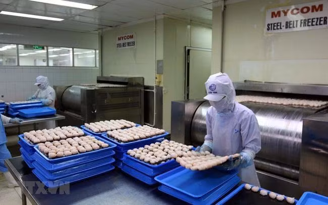 Aumenta valor de la inversión extranjera directa en Ciudad Ho Chi Minh ảnh 1 Aumenta valor de la inversión extranjera directa en Ciudad Ho Chi Minh ảnh 1