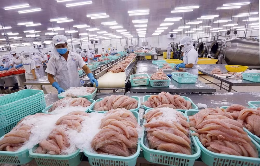 Estados Unidos, mayor importador de Vietnam ảnh 1