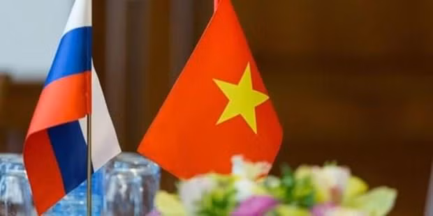 Destaca experto desarrollo enérgico de cooperación Rusia- Vietnam ảnh 1
