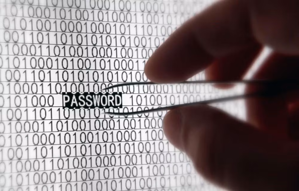 Destacan expertos importancia de ciberseguridad para pequeñas empresas vietnamitas ảnh 1 Destacan expertos importancia de ciberseguridad para pequeñas empresas vietnamitas ảnh 1