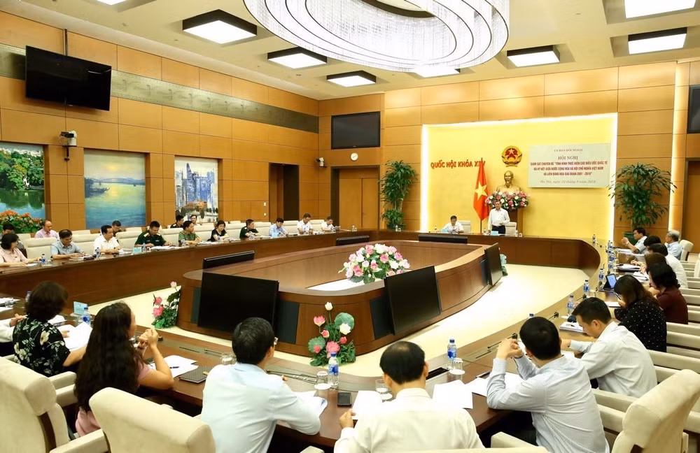 Evalúan implementación de compromisos internacionales entre Vietnam y Rusia ảnh 1