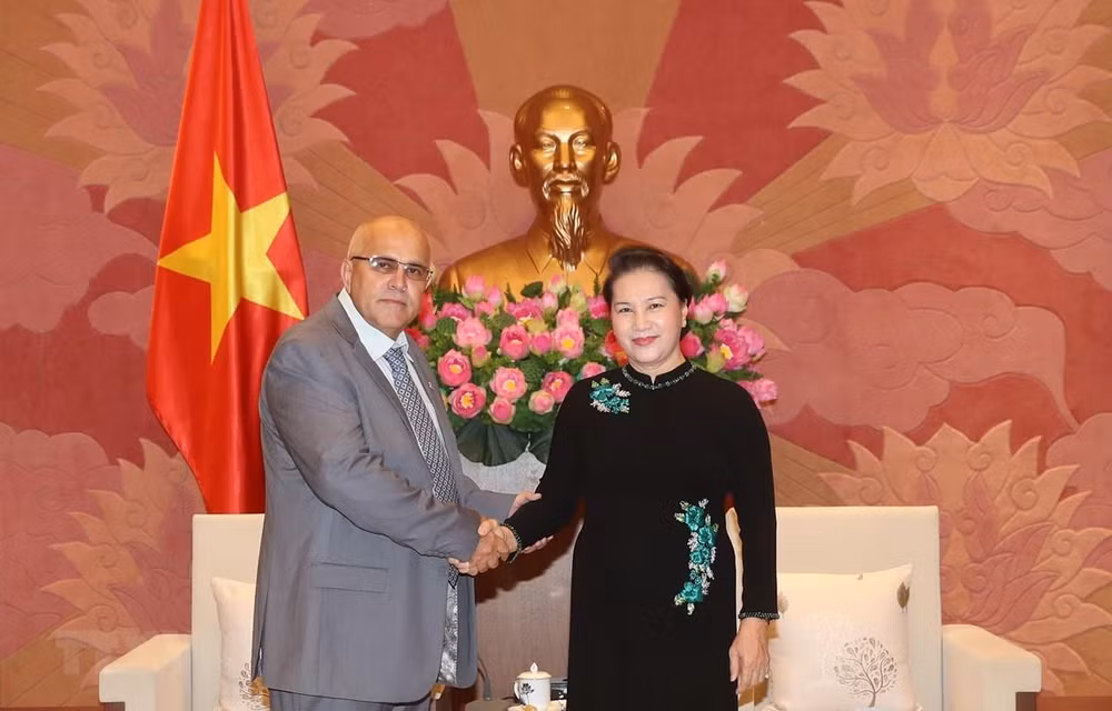 Ratifica presidenta del Parlamento de Vietnam solidaridad con Cuba ảnh 1