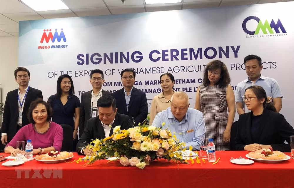 Exportarán 20 toneladas de productos agrícolas vietnamitas a Singapur en septiembre ảnh 1 Exportarán 20 toneladas de productos agrícolas vietnamitas a Singapur en septiembre ảnh 1