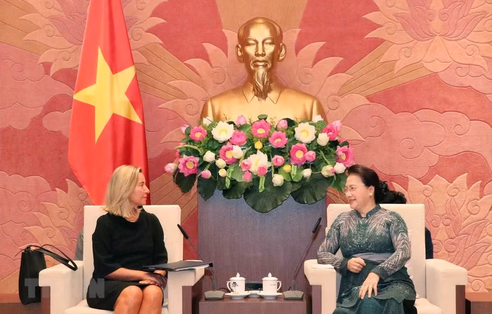 Proyecta Parlamento de Vietnam ratificar en octubre el TLC con la UE ảnh 1
