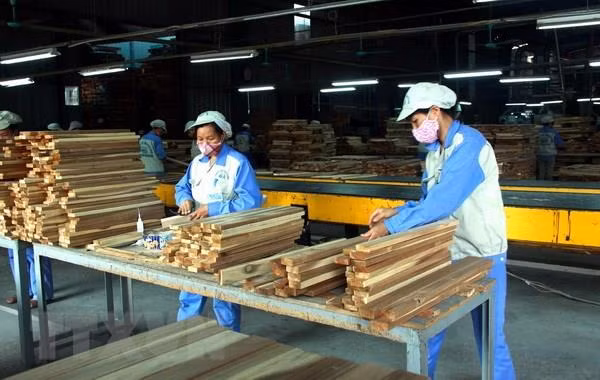Aumenta Vietnam exportación de productos forestales en agosto de 2019 ảnh 1