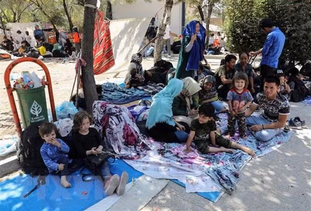 Expresa ASEAN preocupación por situación de niños en conflictos armados ảnh 1