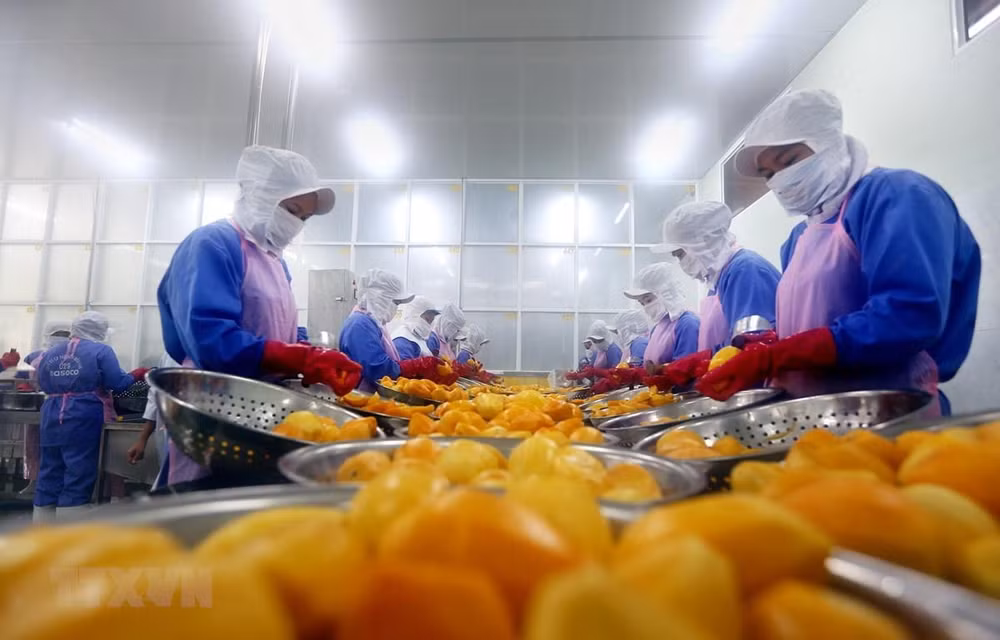 Incremento de tensiones comerciales EE.UU.- China afecta exportaciones de Vietnam ảnh 1 Incremento de tensiones comerciales EE.UU.- China afecta exportaciones de Vietnam ảnh 1