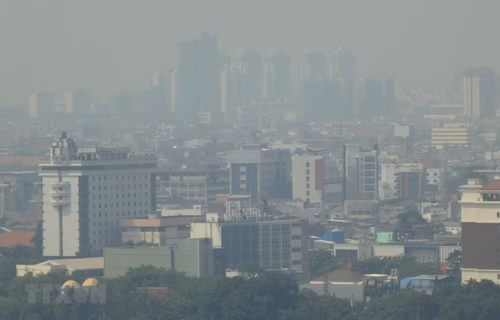 Plantea Indonesia trasladar su capital a isla de Borneo ảnh 1
