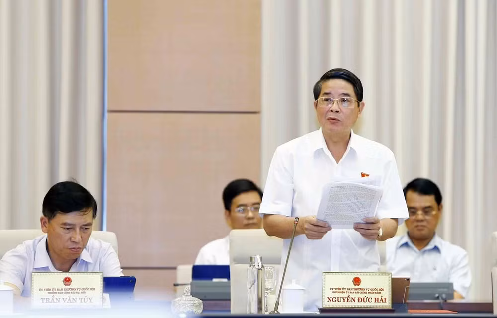 Revisa Comité Permanente del Parlamento vietnamita funcionamiento de fondos financieros ảnh 1