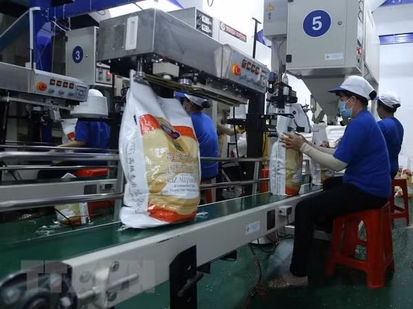 Crecen exportaciones agroforestales y acuícolas de Vietnam en primeros siete meses ảnh 1