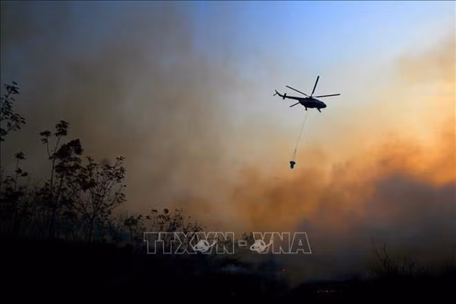 Despliega Indonesia miles de efectivos para combatir incendios forestales ảnh 1