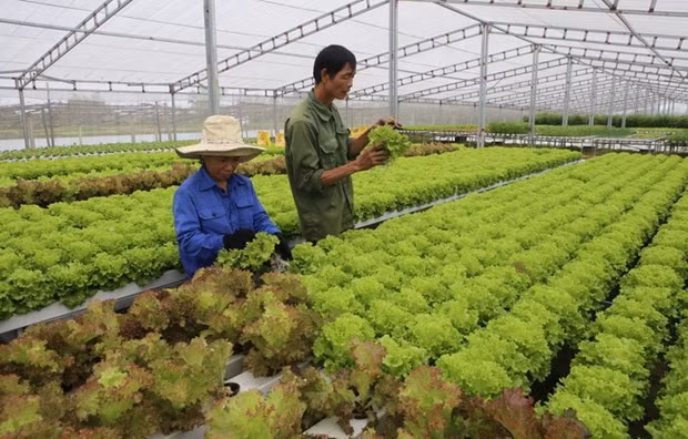 Brillantes perspectivas de relaciones económicas Vietnam-Marruecos ảnh 2 Brillantes perspectivas de relaciones económicas Vietnam-Marruecos ảnh 2