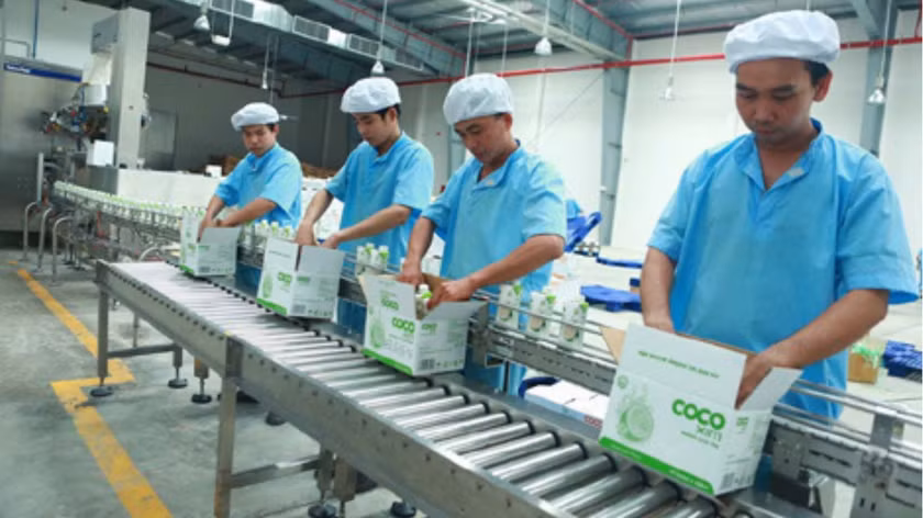 Ben Tre intenta figurar entre los tres principales exportadores del delta del Mekong para 2030 ảnh 1