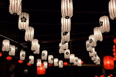Vía de farolillos más larga de Vietnam saluda fiesta otoñal ảnh 3