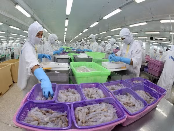 Buscan Vietnam y Egipto impulsar nexos comerciales ảnh 1