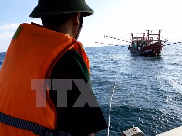 Rescatan a marineros de barco naufragado en aguas de Vietnam ảnh 1