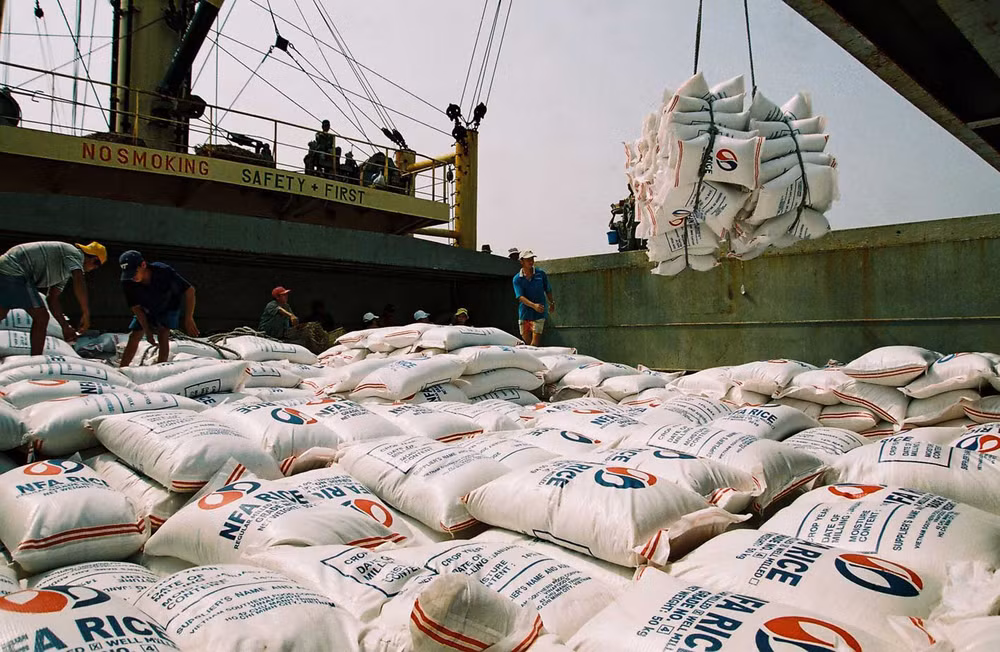 Camboya exportó más de 400 mil toneladas de arroz en primeros nueve meses de 2017 ảnh 1