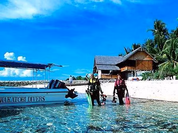Indonesia llama a mayor inversión extranjera en turismo ảnh 1