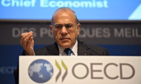 OCDE: Vietnam desempeña papel importante en integración financiera del APEC ảnh 1