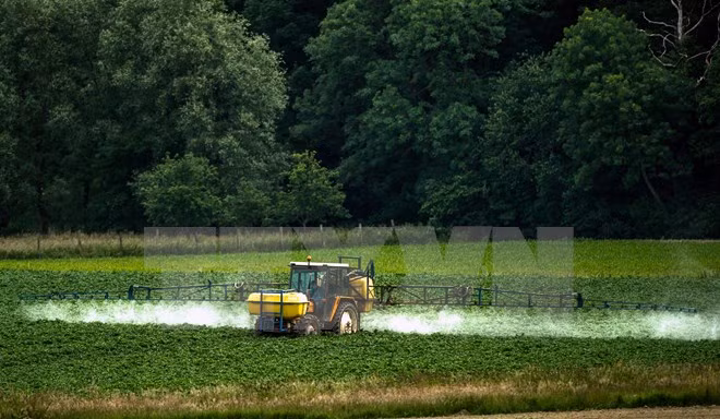 Ciudad Ho Chi Minh moviliza contribución de vietnamitas en ultramar a desarrollo de agricultura de alta tecnología ảnh 1