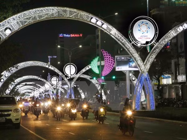 Presentarán productos típicos de Vietnam a delegados de APEC 2017 ảnh 1