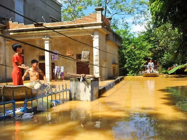 Ninh Binh realiza esfuerzos para superar secuelas de inundaciones ảnh 1
