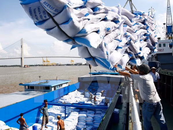 Vietnam ingresa monto multimillonario por ventas de productos agrícolas, acuícolas y silvícolas ảnh 1