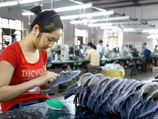 Vietnam promueve igualdad de género mediante políticas laborales ảnh 1