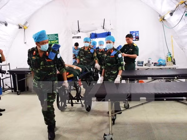 ONU aprecia participación de Vietnam en misiones de paz, dijo viceministro ảnh 1