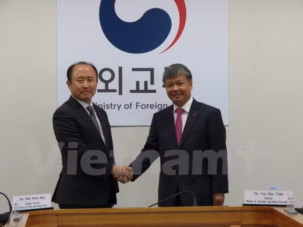 Sesiona en Seúl comité intergubernamental Vietnam-Sudcorea ảnh 1