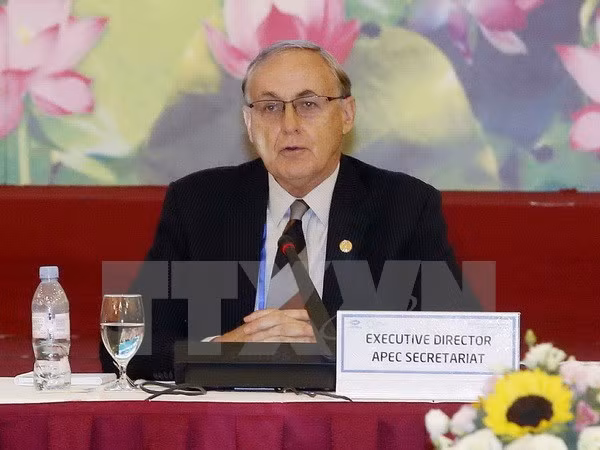 Vietnam contribuye a trazar la orientación futura de APEC ảnh 1 Vietnam contribuye a trazar la orientación futura de APEC ảnh 1