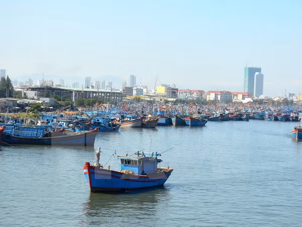 Vietnam exige trato humano a pescadores nacionales ảnh 1