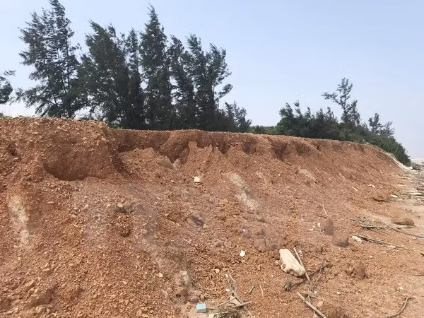 Provincia vietnamita de Ninh Thuan realiza labores de forestación con apoyo japonés ảnh 1