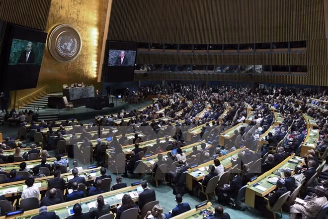 Vietnam presenta ante ONU recomendaciones para mitigación de secuelas de desastres naturales ảnh 1