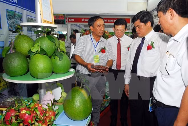 Productos agrícolas de Vietnam buscan conquistar el mercado de Sudcorea ảnh 1