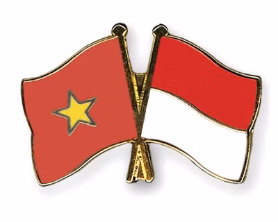 Vietnam e Indonesia buscan elevar eficiencia de su cooperación económica ảnh 1