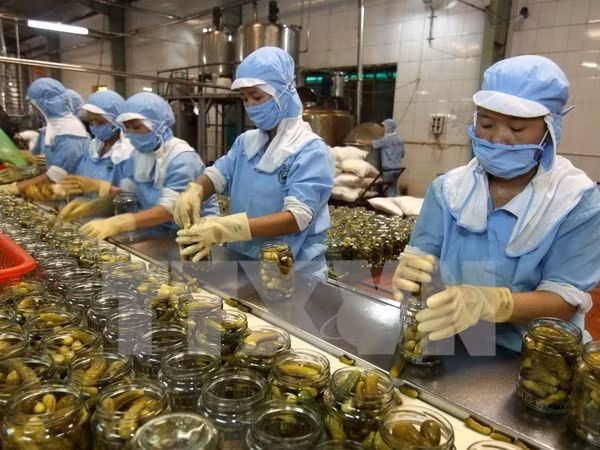 Impulsan cooperación internacional por sostenibilidad de cadena de valores de alimentos en Vietnam ảnh 1